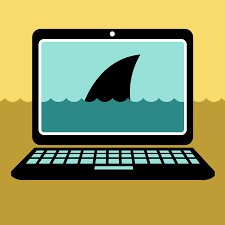 image of shark fin on computer screen
