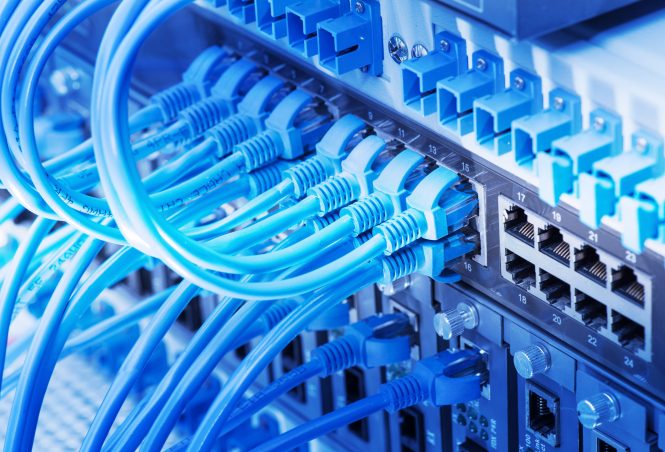 A group of Ethernet cables plugged into a network switch