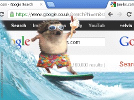 hedgehog on a surfboard with google search page in BG