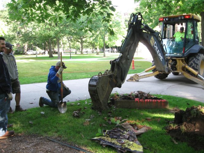 Man kneeling on ground as backhoe removes dirt.