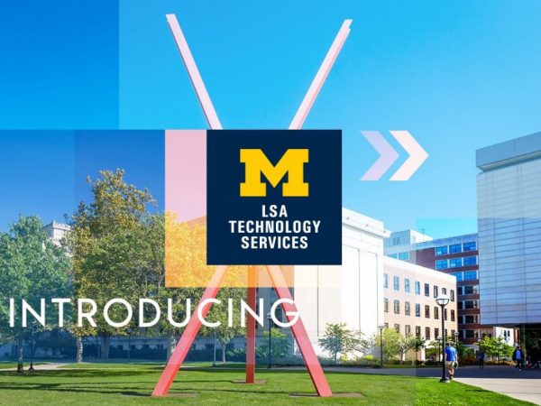 Introducing LSA Technology Services