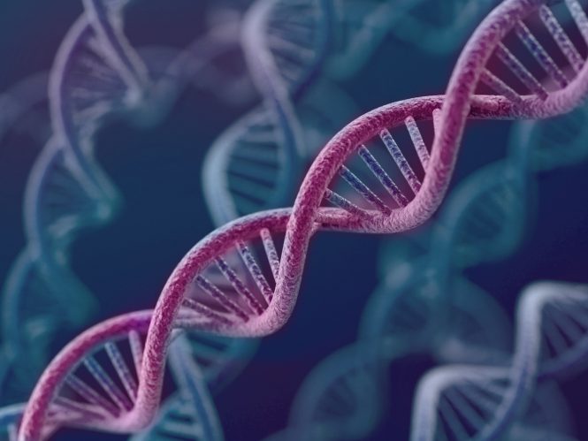 DNA strand