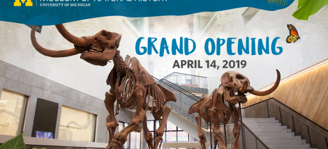 dinosaurs skeletons "Grand Opening April 13, 2019"