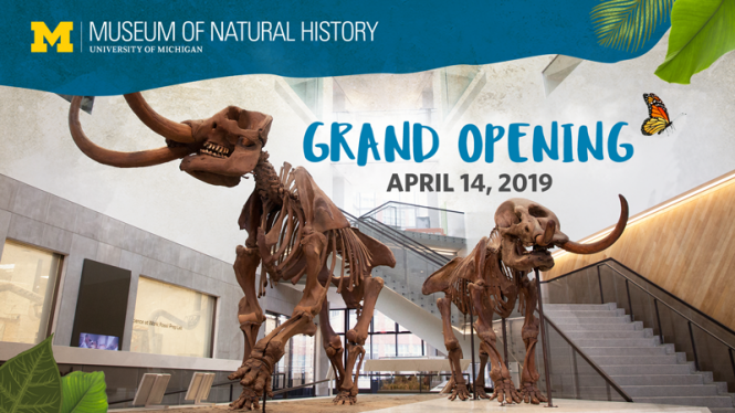 dinosaurs skeletons "Grand Opening April 13, 2019"