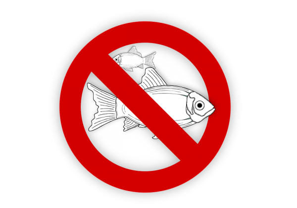 fish with red circle & slash mark icon