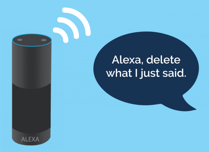 Alexa speaker on the left with a voice bubble on the right. The voice bubble says "Alexa, delete what I just said."