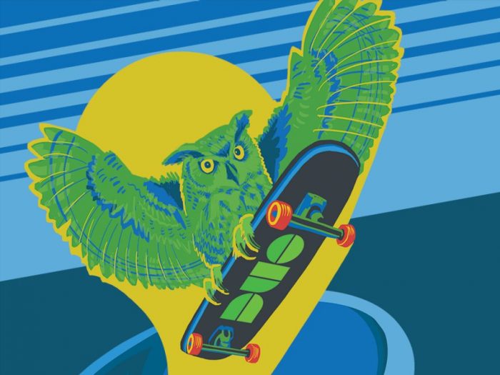 illustration of owl riding a sklateboard with Duo logo