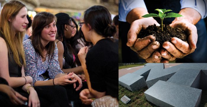 Staff interacting, a seedling image, and stone block M