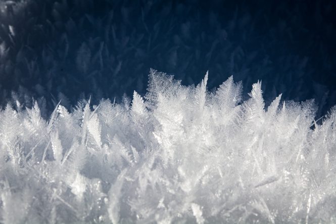 Ice crystals formed in a unique pattern