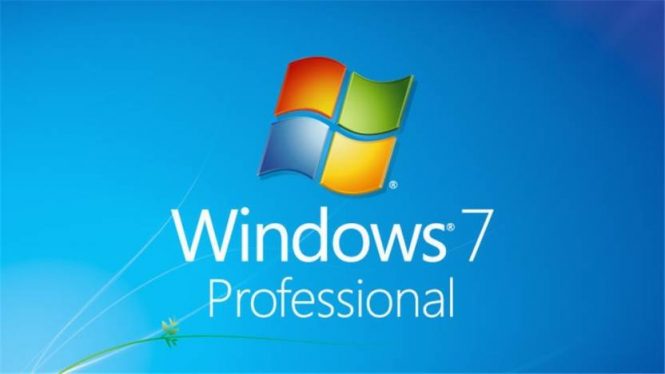 windows 7 professional logo