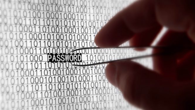 hand holding tweezers selecting "password" from data screen