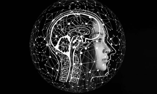 profile of human head showing outline of spinal cord and brain
