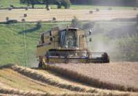 Combine harvesting wheat field.