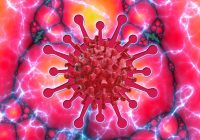 illustration of coronavirus