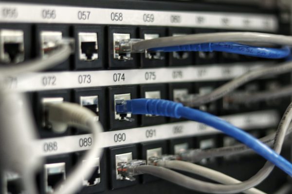 close up of ethernet cables plugged into a server