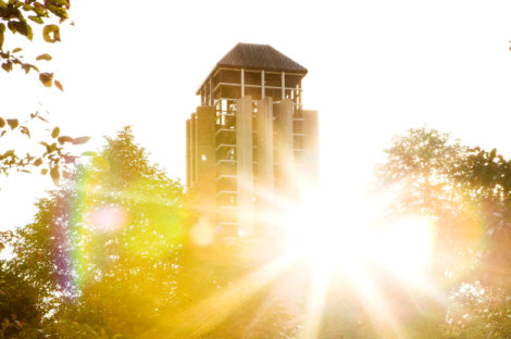 (Photo of the sun shining through trees and a tall building.)