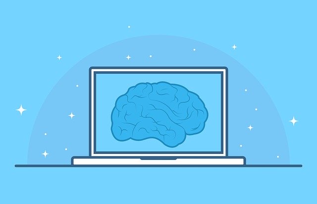 brain on computer screen