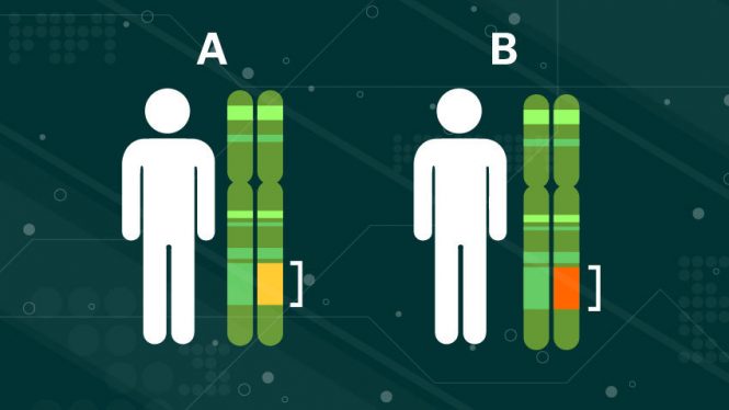 graphic showing to people icons next to DAN strings.