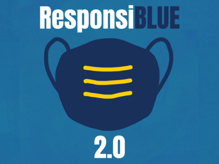 Illustration of mask, ResponsiBLUE 2.0