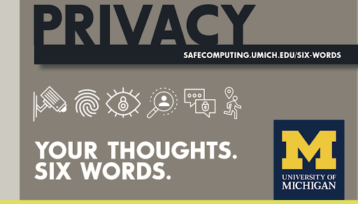 Decorative image that reads, "Privacy: your thoughts, six words"