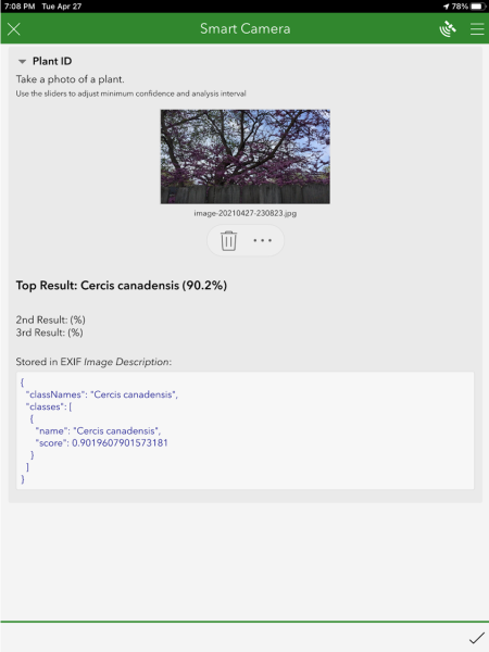 Model output is automatically captured in survey form (e.g., Cercis canadensis or Eastern redbud; 90.2% confident.)