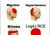 Log4J Meme depicting where different types of headaches are located on the human head. Log4J covers the entire head.