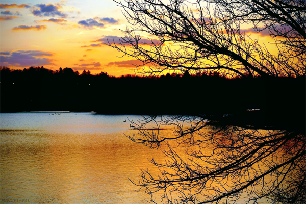 This picture taken at the gallup park shows beautiful colors in the sky as the sun was setting. The colors are also reflected in the water. With colorful sky and water, it was a beautiful and calming evening. 