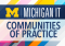 Michigan IT Communities of Practice logo with rainbow lines moving from bottom left to upper right in the background