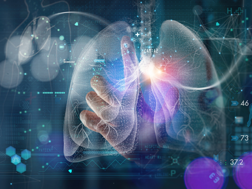 A dynamic illustration of lungs and a hand pointing to a specific area of a lung.