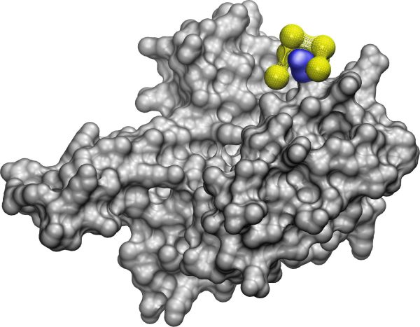 A nanoparticle. A set of yellow balls attached by netting fits neatly around a very specific protrusion on a protein, marked in blue.