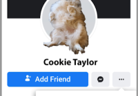 Image of a fake social media account for Cookie, a fluffy white dog.