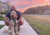 sunset and person kneeling with dog
