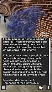 Android phone screenshot of an enlarged gut bacteria molecule, used to capture amylose, viewed against a brick wall, with overlaid text about the human gut biome and the molecule in particular