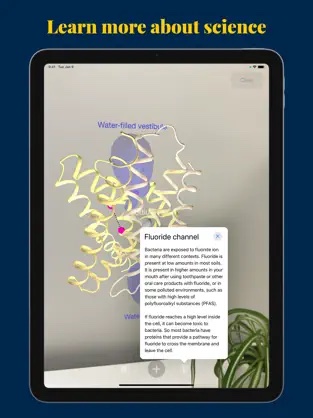 iPhone screenshot of a fluoride channel molecule, with overlaid text about it, viewed against a blank wall; a plant is visible in the lower right corner