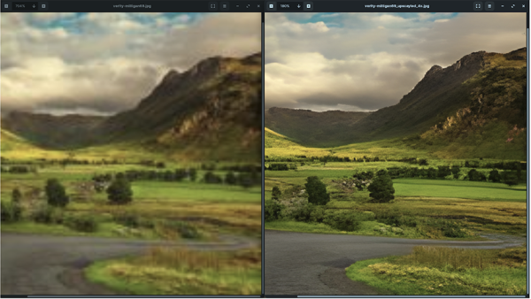 A side-by-side image showing how Upscayl can improve images. The left side is blurry and the right side is crisp.